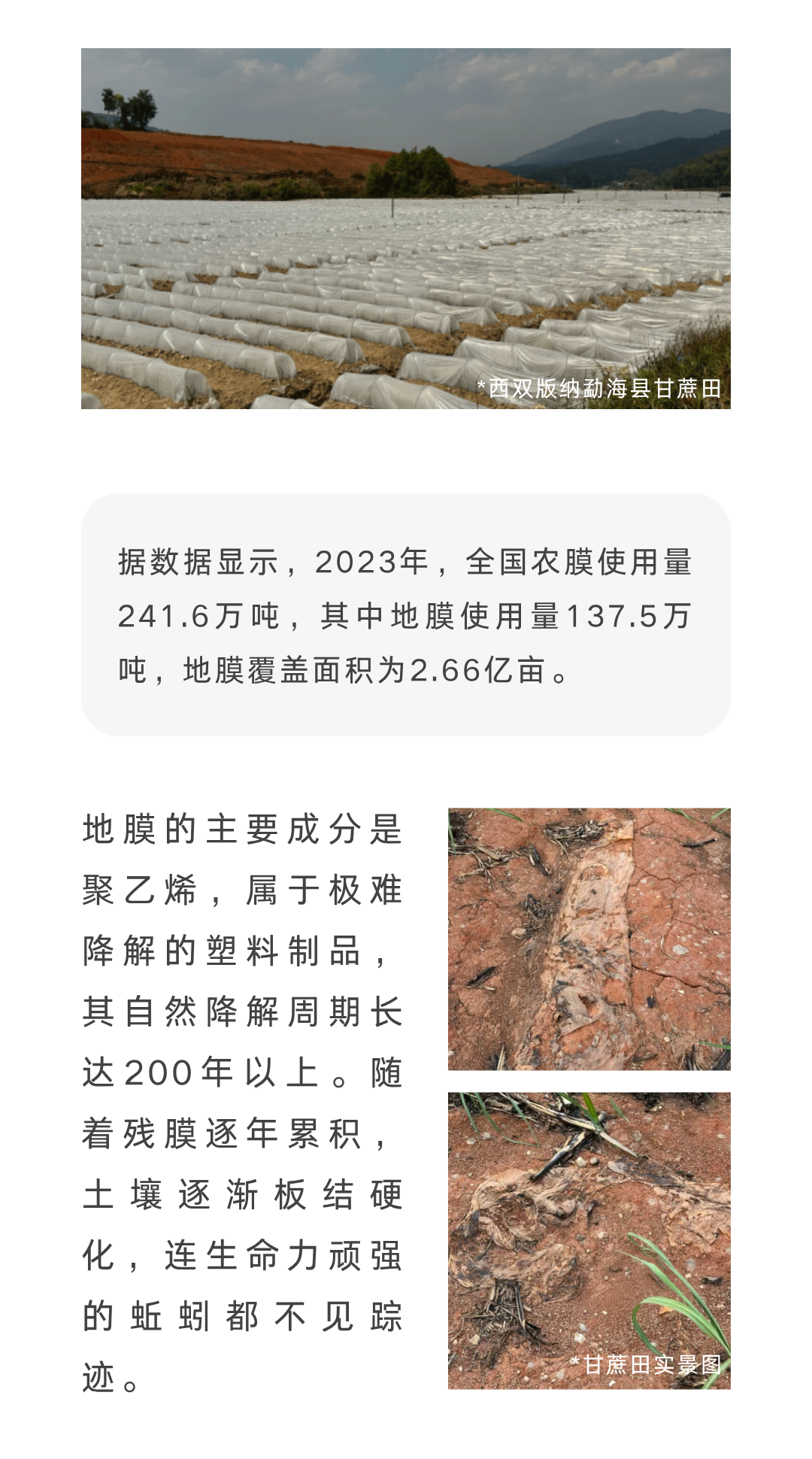 滴探境界